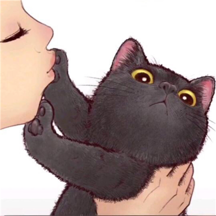 ��ը���Ц��Ⱥ��