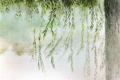 �к�����ʲô�ְ���һ��?�ŷ�ϵ�������к� �����д�����к�����