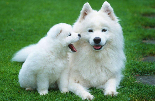 Ů����������Ҫ�ȵ�ɰ����������