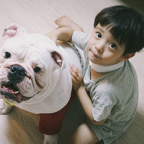 �ղ���ʲô�������к� �������ں����к����ִ�ȫ