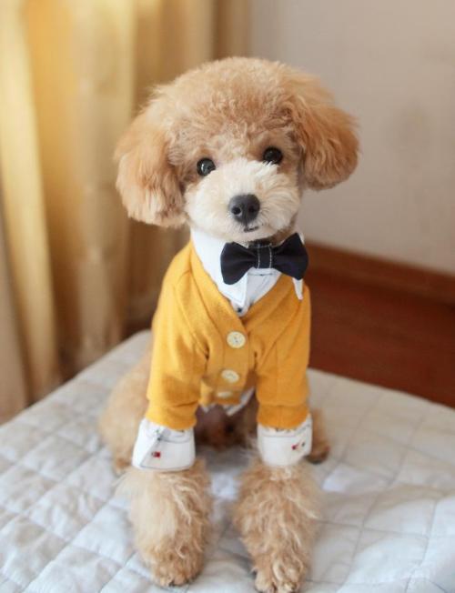 ��Ц�ֶ��ȵıȽϼ��ĳ������ִ�ȫ