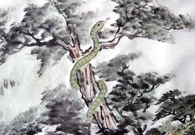 �Ӻ�ʲô�ֽ��Ԣ��ã�����ȡ���ĺ��� ���к���Ĵ��ӵ����ִ�ȫ