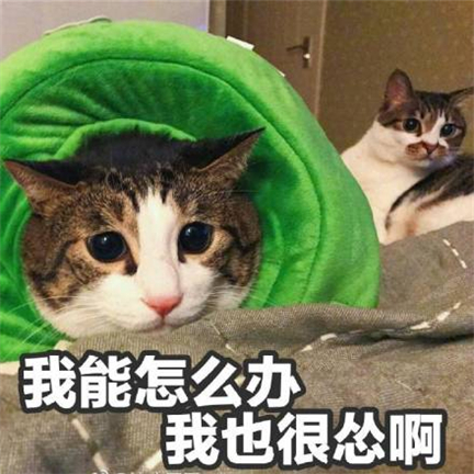 ��Ϸidȡ������