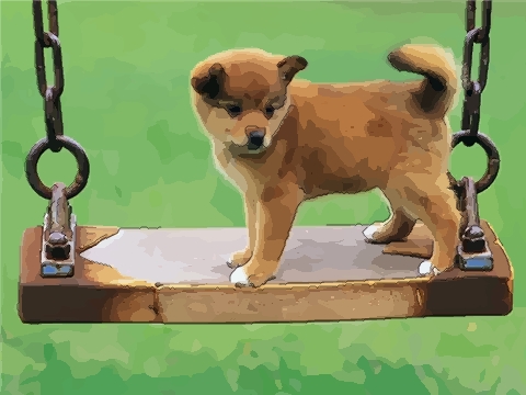 �����������ִ�ȫ�ɰ�Ӣ��