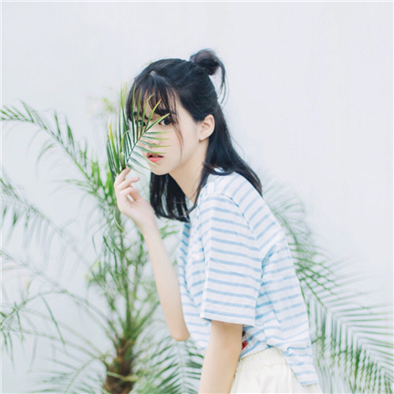 ����ɭϵ�ı��� ϡ�ٺ����ı��� ���������ı���