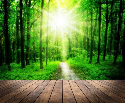 ����֪ʶ������ľ���ּ����� ������ľԢ��õ�Ů�����ִ�ȫ