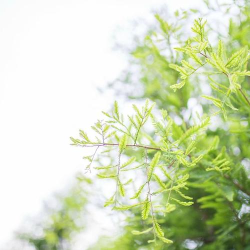 ���������ŵ���Ϸ���� ���ȹ�Ŀ��������Ϸ���� ��Ϸ�ǳ�ɧ�����׵�