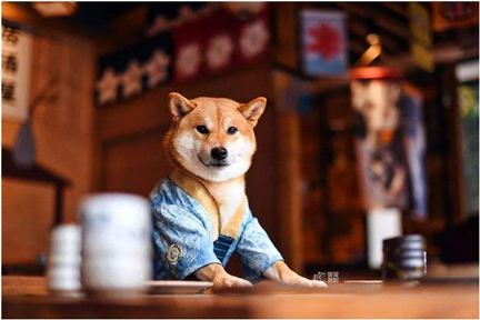 ��������Ķ�������