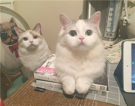 �ʺ�Ůè������ִ�ȫ