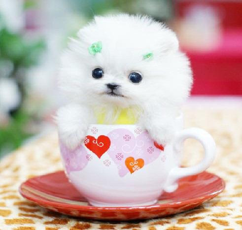 �����ֿɰ��Ĺ������ִ�ȫ