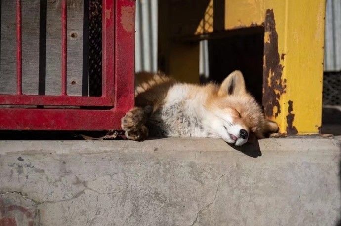 ���պ���ϡ�ٵ��к����֣����պ����������������������