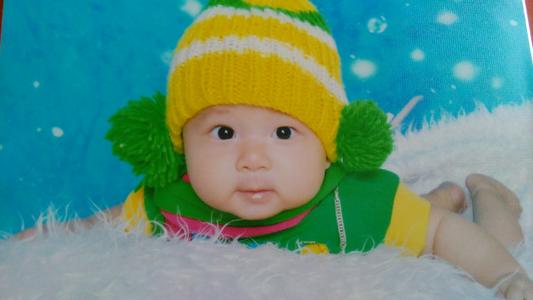 ����ȱľ��ôȡС��?����ȱľ�к��������� �ʺ��б�����С��ȱľ