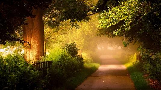 ����ȱľ��ôȡС��?����ȱľ�к��������� �ʺ��б�����С��ȱľ