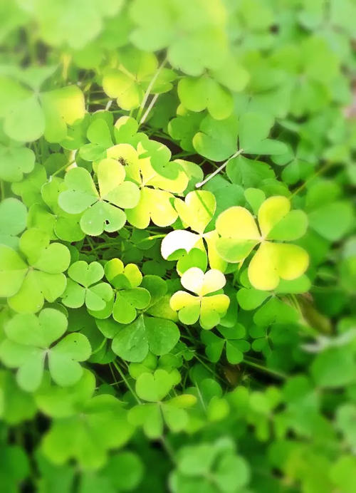 �������˵Ĺ�������