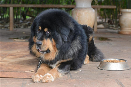 ������ʲô���������