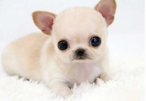 ���������ִ�ȫ�ɰ���