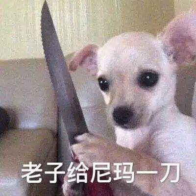 �Ƚ�ɳ���������