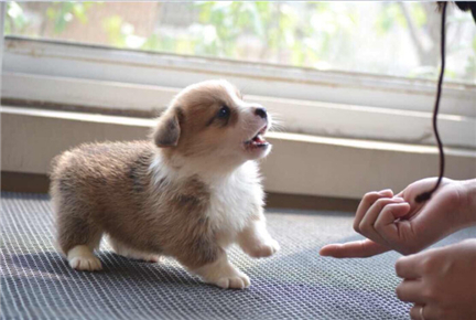 �д���Ŀ»�����