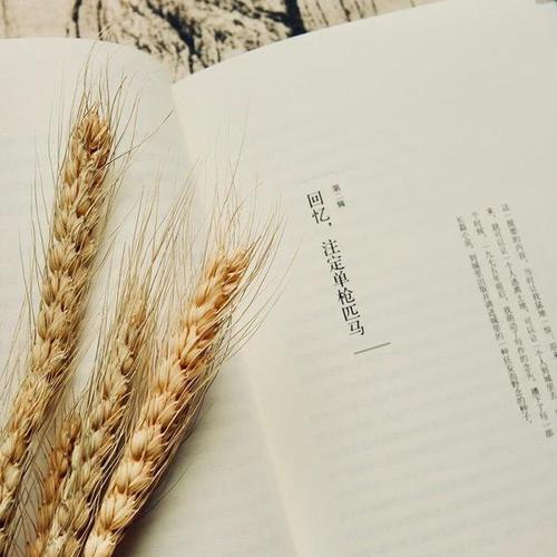 ���ն�����ʫ����ǳ� ����������ʫ������� ʫ�⵭�ŵ�����