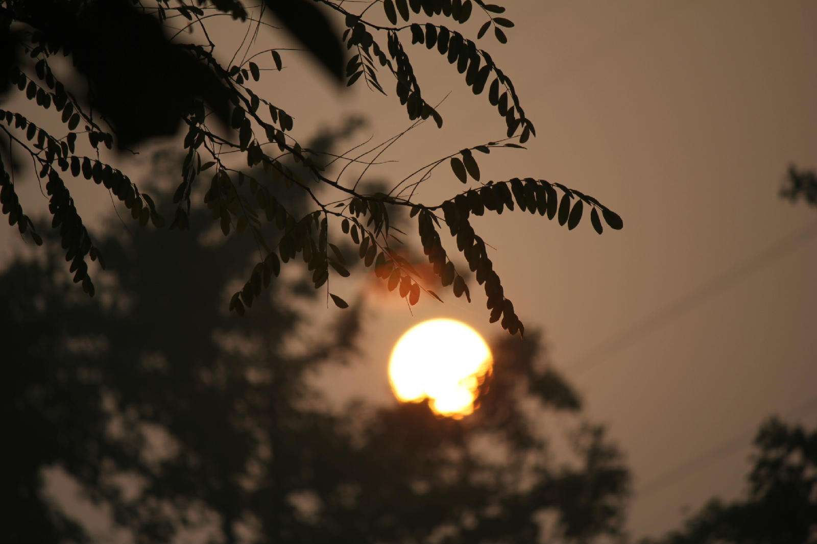 �к������ֺ�Ԣ�����������ѣ������к��������ִ�ȫ