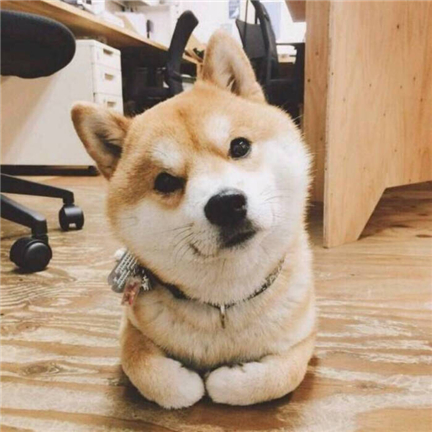 Ԣ�⼪��ĳ�������