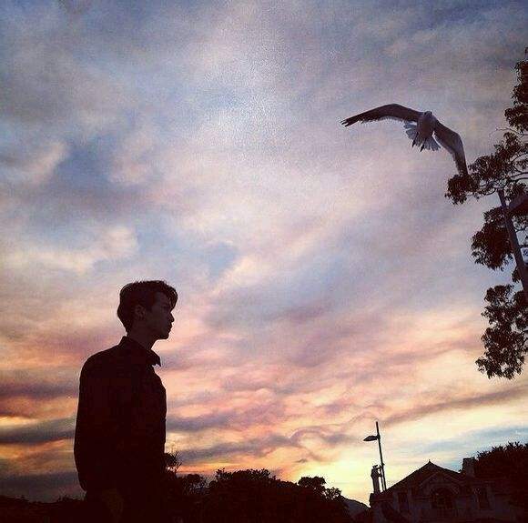 ��һ�޶��İ���������