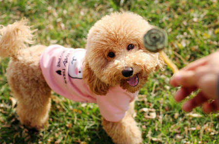 Ů̩�Ϲ��������������