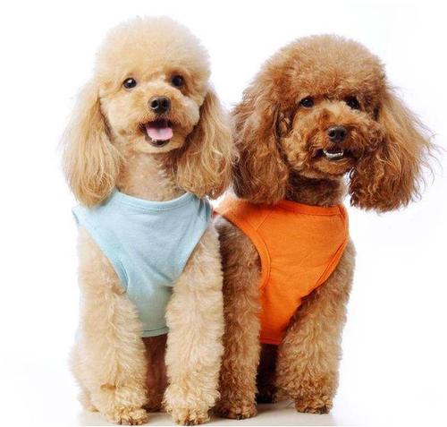 Ů̩�Ϲ��������������