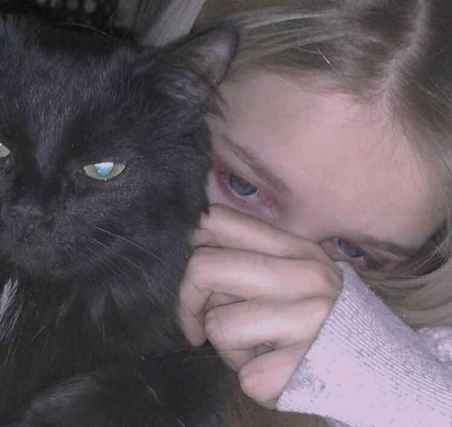 �ʺ�Ů����΢�ź�Ӣ�� ΢������ŮӢ������ ΢����ŮӢ������