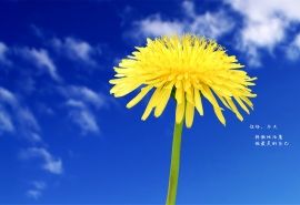 ȡ����̬�õ���������΢����