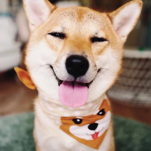 ��С�����ֺ����ָ���