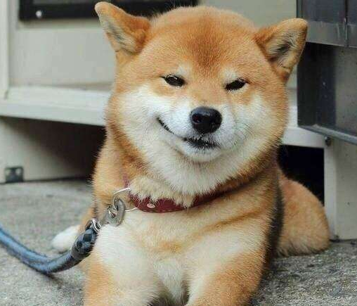 ����������Ӣ�����ִ�ȫ