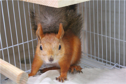 �����������ִ�ȫ