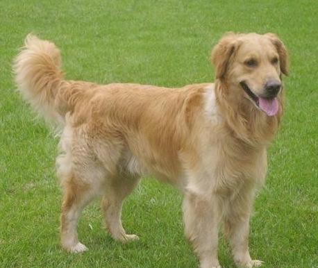 ��ק��������Ȯ���ִ�ȫ