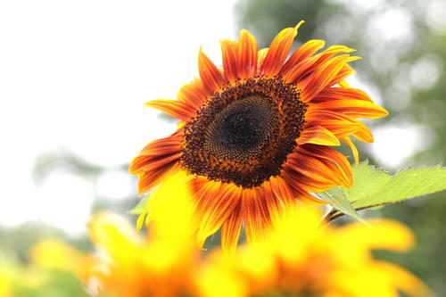 �к�������������� �к���ȡ��������˧�� �����г������к�С��