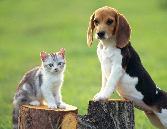 ����ȡʲô���ֺ����ɰ� ���������ĳ����������´�ȫ