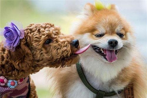 �����вƵĹ������ִ�ȫ