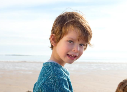 2021��������ţ�����к����� ����ţ�����к��������ִ�ȫ