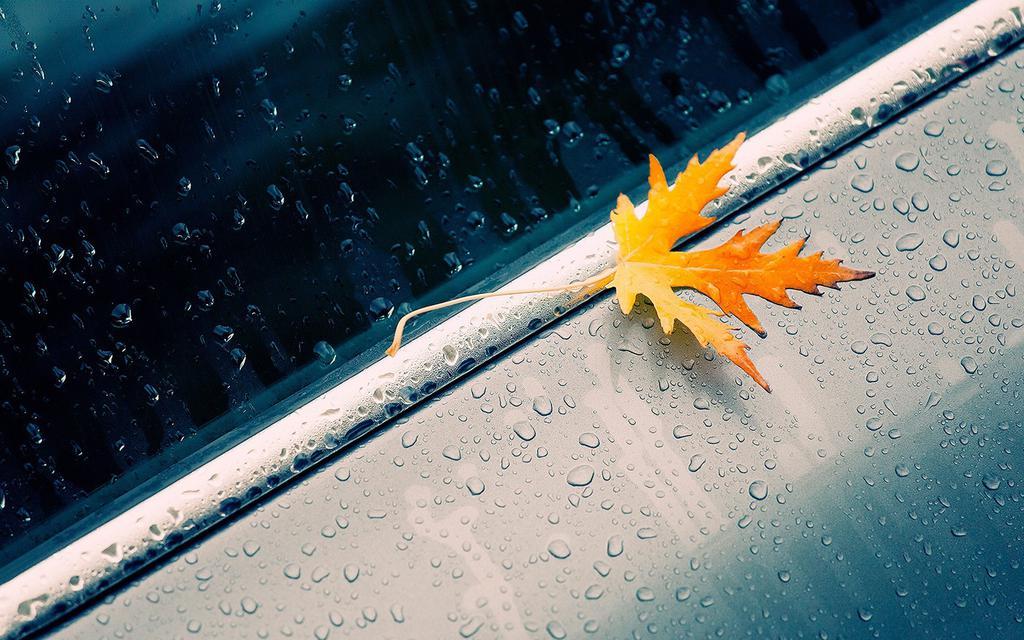 ţ����ȡ���������к� 2021ţ�����к�����ȡ����ȫ