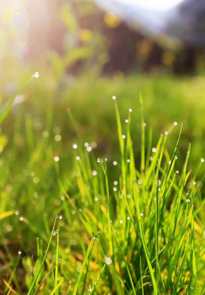 ���ȡ����Ԣ����ʲô�����к� ���ȡ���к����ִ�ȫ