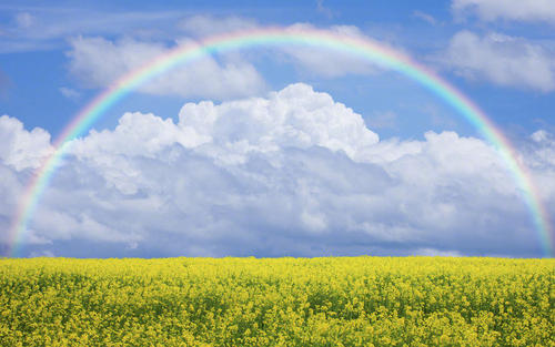 �������к�ȡʲô���ֺü��� �������к��������ִ�ȫ