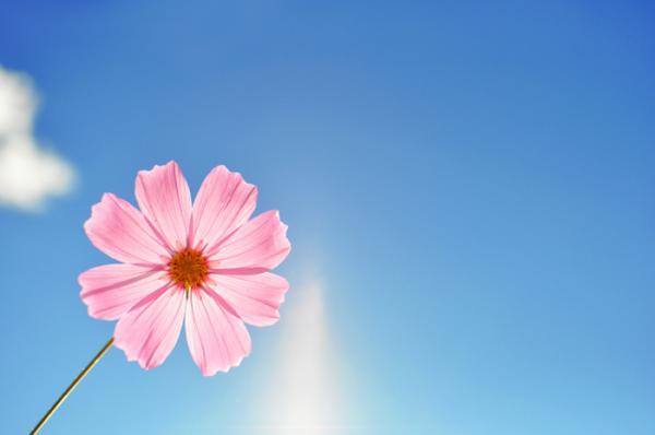 ������к�������Ԣ������� ������к�100������2021����