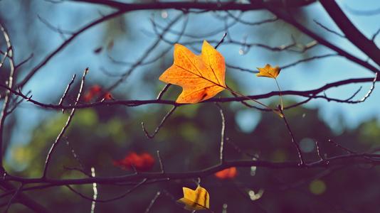 ���ȡ��Ů�����ִ�ȫ Ů����������ֵ�Ԣ�����