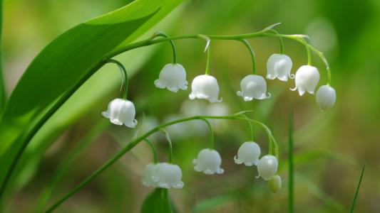 ����ȱ����к����ִ�ȫ������ȱ����к������Ƽ�