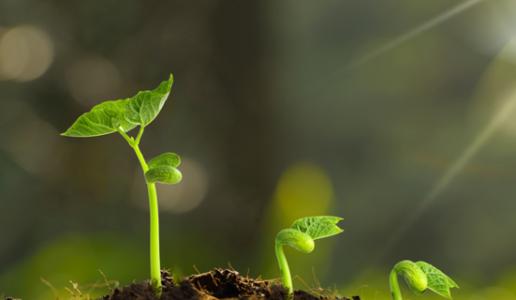 �к����Ͻ�ʲô��������Ԣ�������к�����