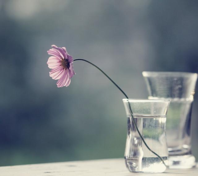 �ճµ��к������к������������� 2021������к����ȡ��