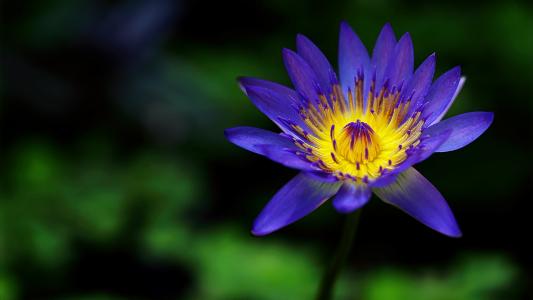 ��������Ů�����������֣�Ԣ��Ů���������������