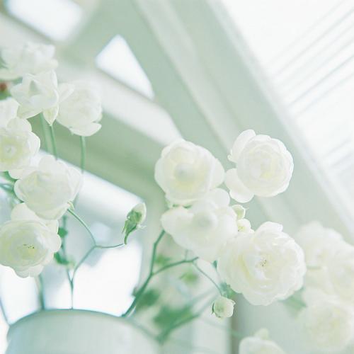 ����ϡ�ٵ��к�������ôȡ �����߹��ֺ������к����ִ�ȫ