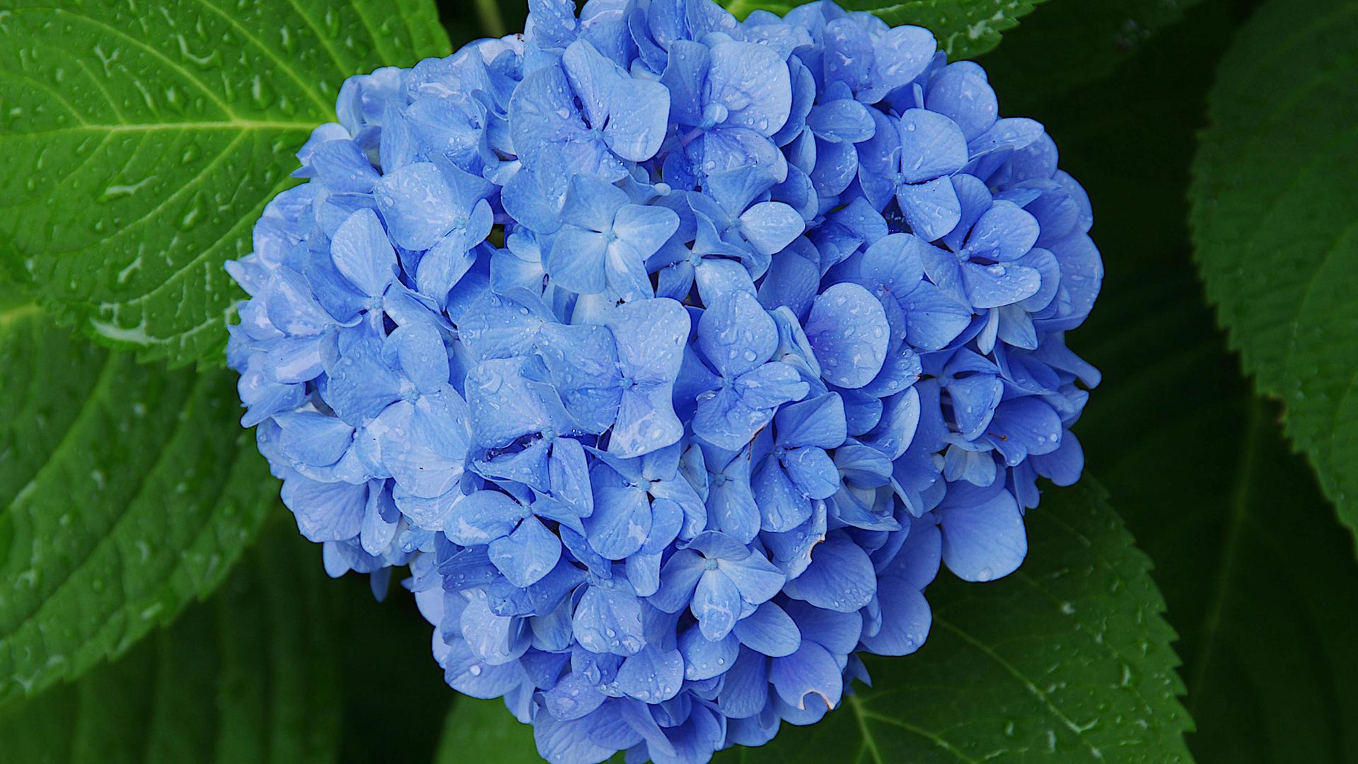 ϫ��ȡ��Ԣ��ò��� ��ϫ�ֵ�����Ů�����ִ�ȫ