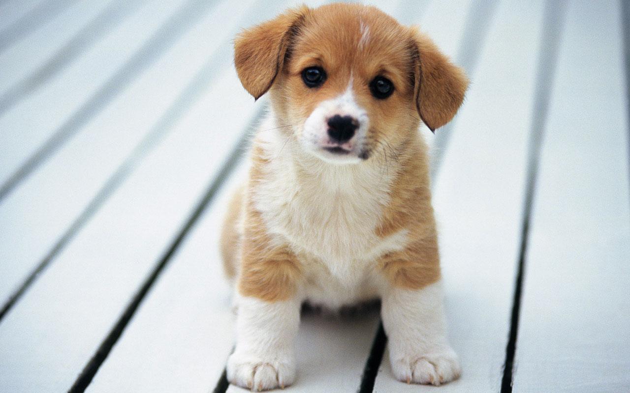 �������ּ���������ôȡ �����вƲ������Ĺ������ִ�ȫ